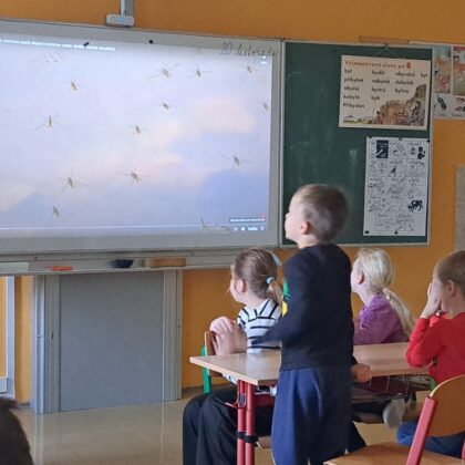 ZŠ a MŠ České Kopisty